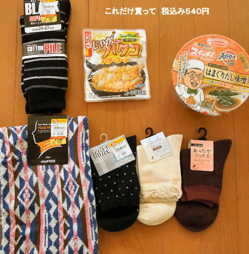 DSCN9209.JPG