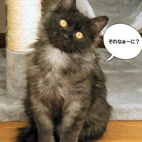 DSCN9272.JPG