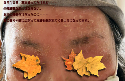 DSCN94146.jpg
