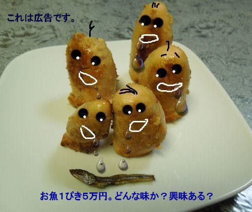 さかな.jpg